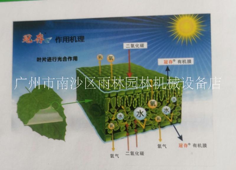 冠存圖片/冠存樣板圖 (2)