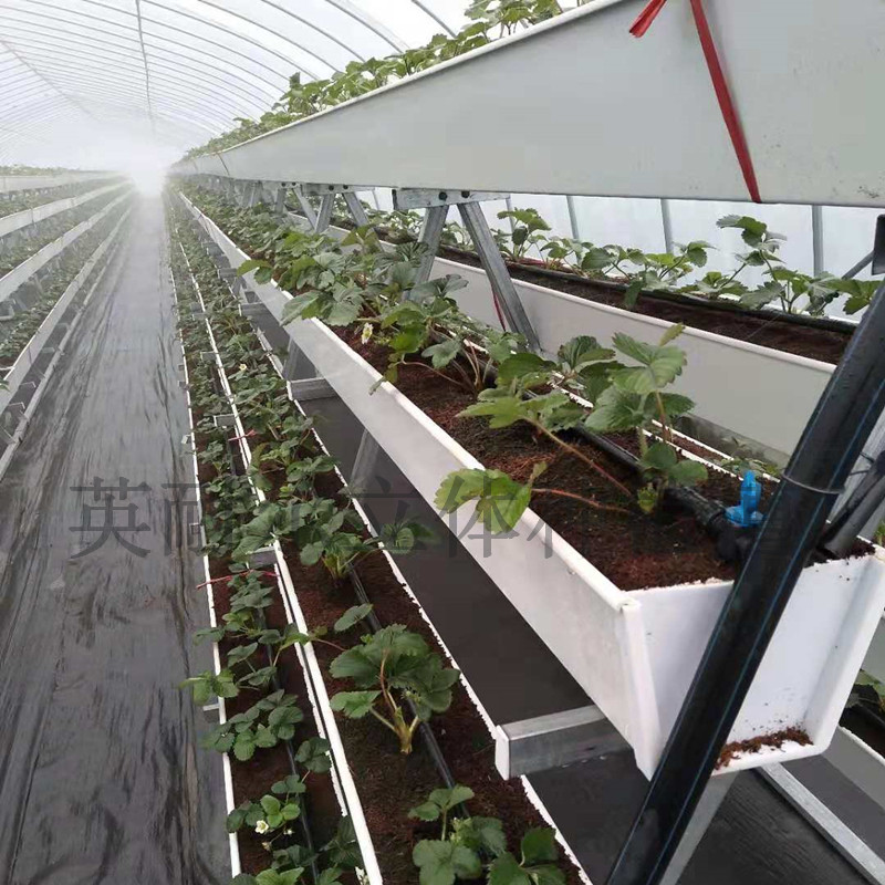 草莓栽培槽 草莓立體種植槽 英耐爾品牌
