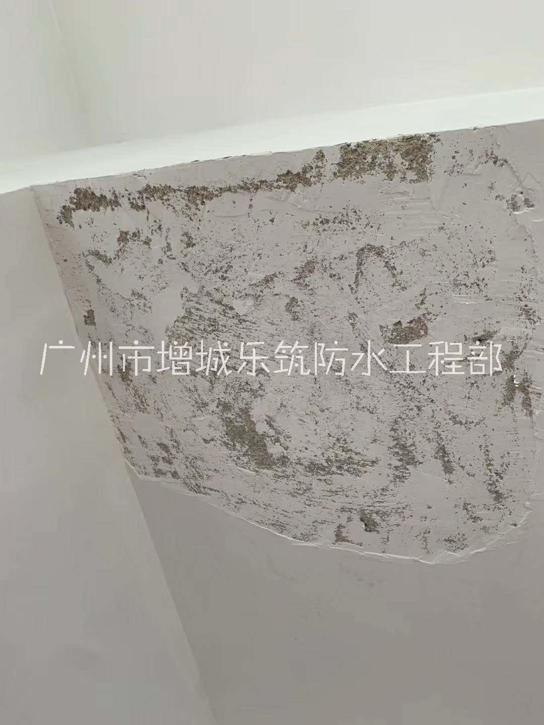 別墅樓頂補(bǔ)漏-廣州別墅樓頂防水補(bǔ)漏-新塘別墅陽(yáng)臺(tái)防水補(bǔ)漏/外墻防水補(bǔ)漏/