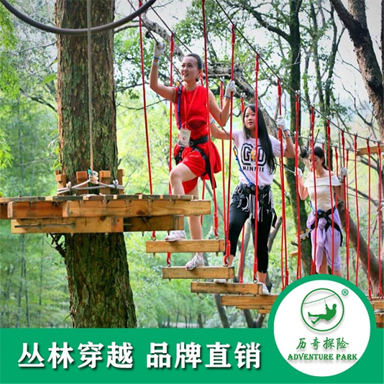 森林穿梭圖片/森林穿梭樣板圖 (3)