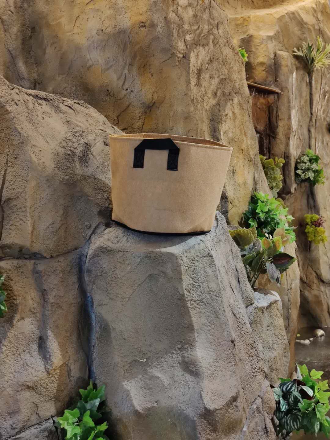 無(wú)紡布花盆廠家 無(wú)紡布花盆批發(fā) 環(huán)保花盆供應(yīng)商