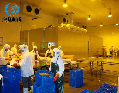 肉類速凍輸送線供應(yīng)商圖片