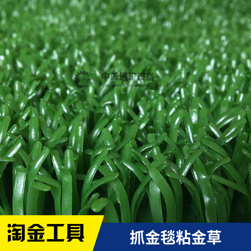 粘金草圖片/粘金草樣板圖 (2)