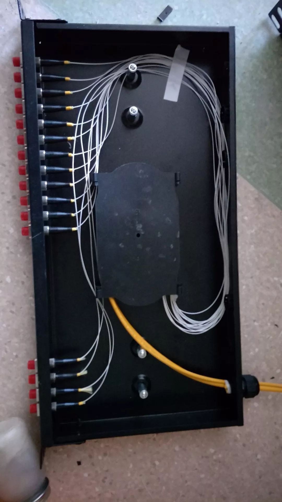 單模光纖尾纖圖片/單模光纖尾纖樣板圖 (2)