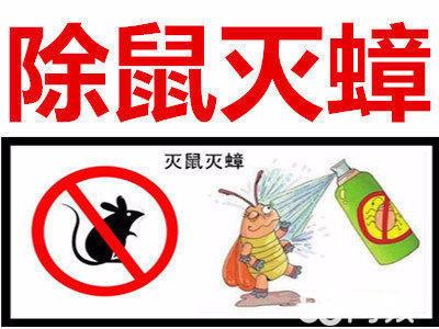 供應(yīng)陽西上門滅老鼠公司廠家|家庭蟲害防制公司