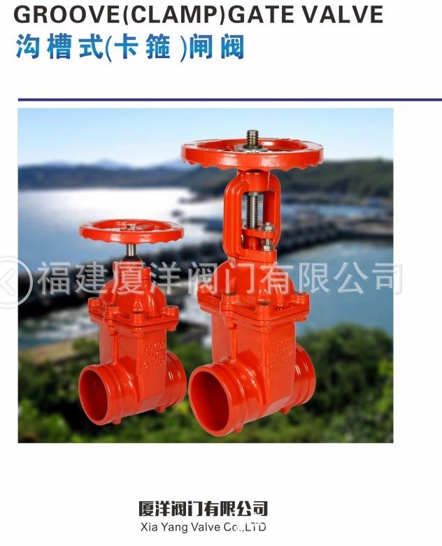 廈洋閥門 消防明桿閘閥