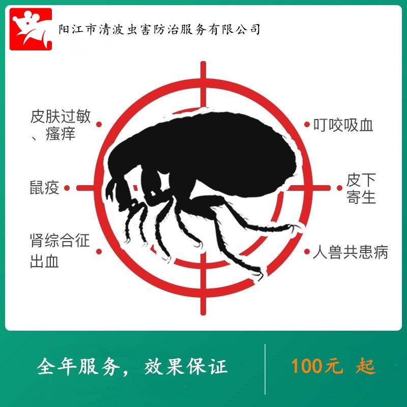 滅殺除蟑螂公司老鼠跳蚤螞蟻圖片/滅殺除蟑螂公司老鼠跳蚤螞蟻樣板圖 (4)