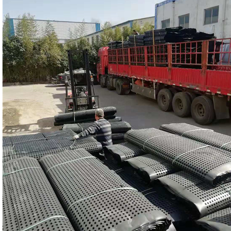 建筑夾層排水板圖片/建筑夾層排水板樣板圖 (4)