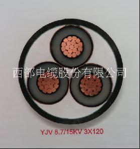 護(hù)套電力電纜圖片/護(hù)套電力電纜樣板圖 (3)