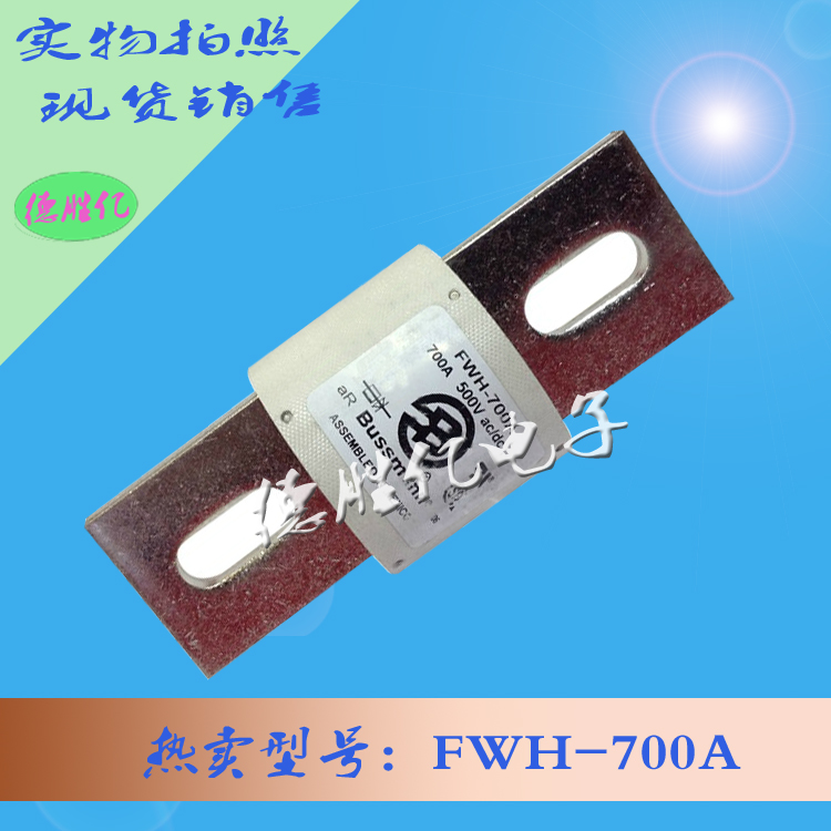 巴斯曼熔斷器 FWH-700A圖片