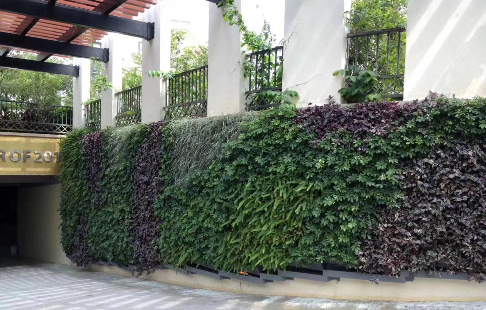 植物墻圖片/植物墻樣板圖 (4)