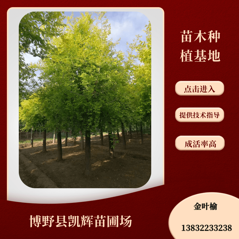 產(chǎn)地直銷(xiāo)圖片/產(chǎn)地直銷(xiāo)樣板圖 (2)