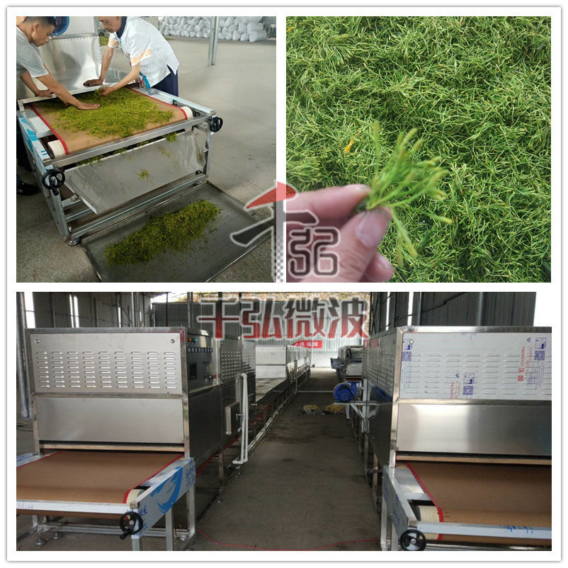 金銀花微波殺青設(shè)備附加值高
