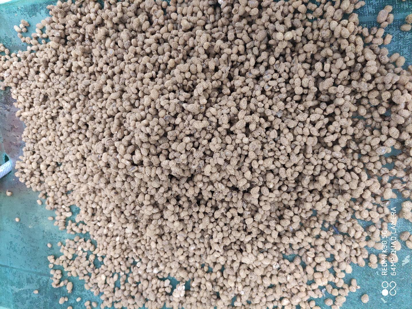 水蛭養(yǎng)殖基地批發(fā)圖片/水蛭養(yǎng)殖基地批發(fā)樣板圖 (4)