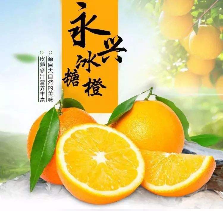永州冰糖橙價格圖片