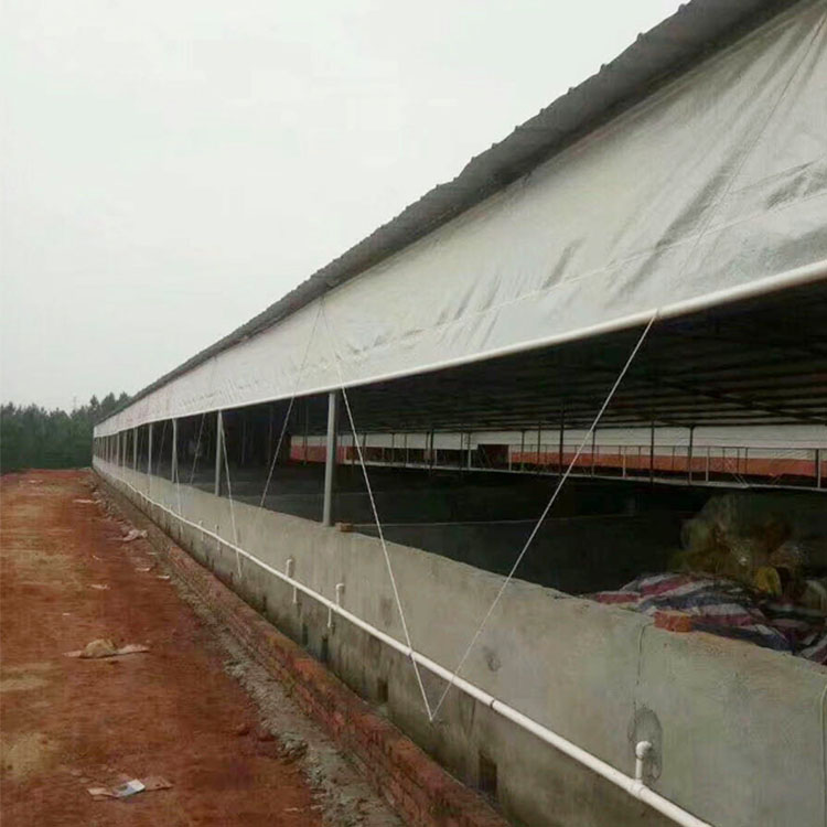 豬場(chǎng)卷簾圖片/豬場(chǎng)卷簾樣板圖 (2)