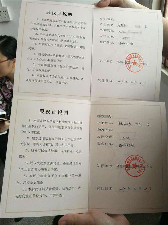 防偽股權(quán)證圖片/防偽股權(quán)證樣板圖 (4)