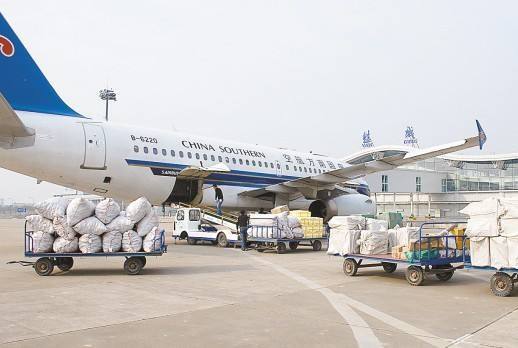 樟木頭到歐洲空運圖片