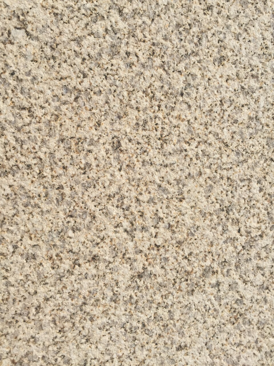 黃金麻荔枝面圖片/黃金麻荔枝面樣板圖 (4)