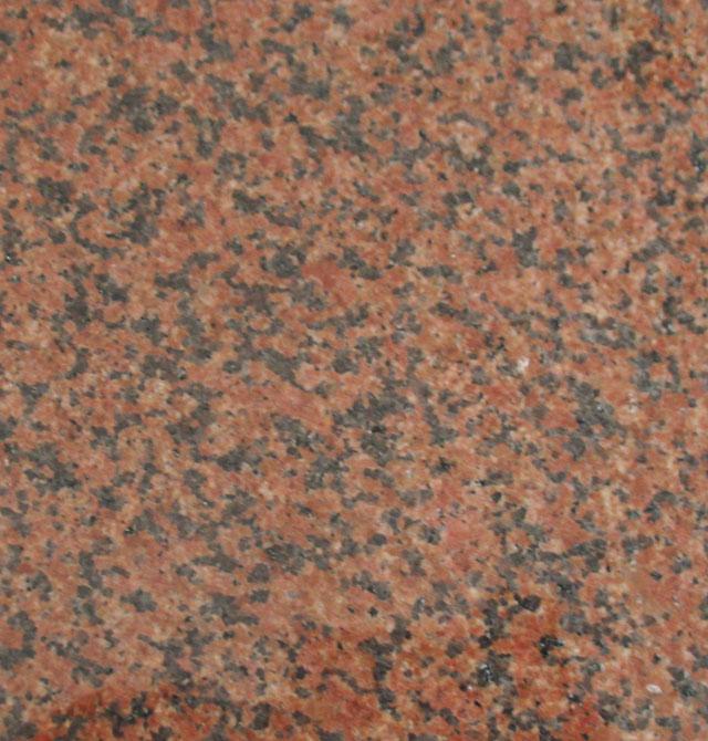 新疆紅市場價格圖片/新疆紅市場價格樣板圖 (3)