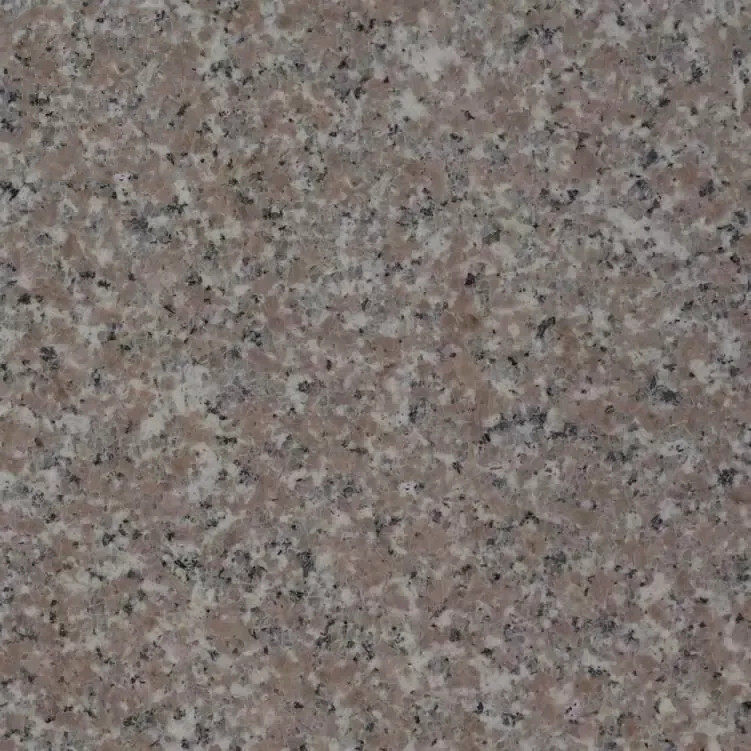 五蓮紅光面圖片/五蓮紅光面樣板圖 (4)