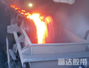 耐灼燒輸送帶圖片/耐灼燒輸送帶樣板圖 (3)