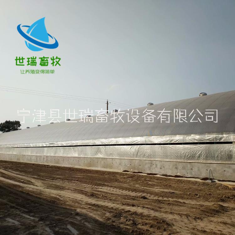 養(yǎng)雞大棚圖片/養(yǎng)雞大棚樣板圖 (4)