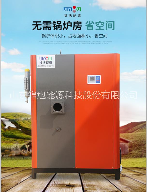 新型300公斤燃?xì)庹羝l(fā)生器圖片/新型300公斤燃?xì)庹羝l(fā)生器樣板圖 (3)
