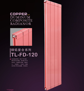 鋁復(fù)合散熱器圖片/鋁復(fù)合散熱器樣板圖 (2)
