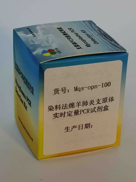 染料法綿羊肺炎支原體實時定量PC圖片