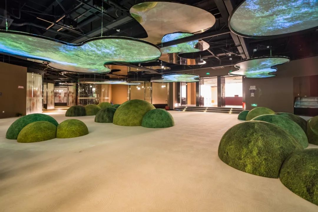 人參中藥圖片/人參中藥樣板圖 (2)