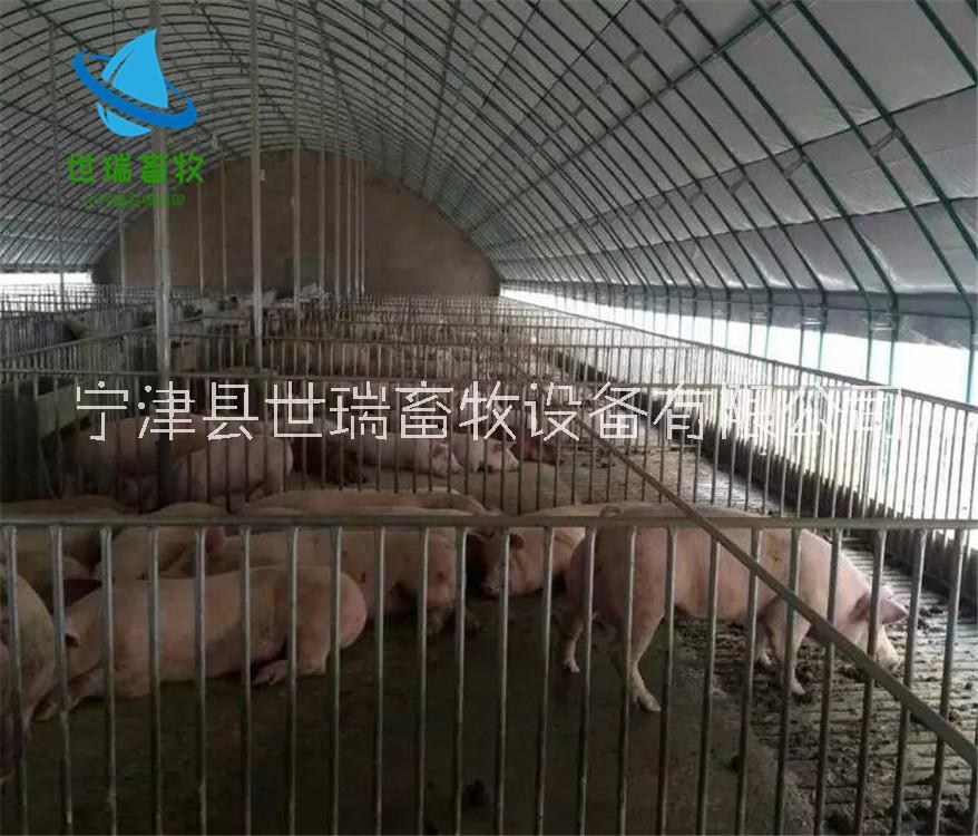 棚搭建圖片/棚搭建樣板圖 (3)