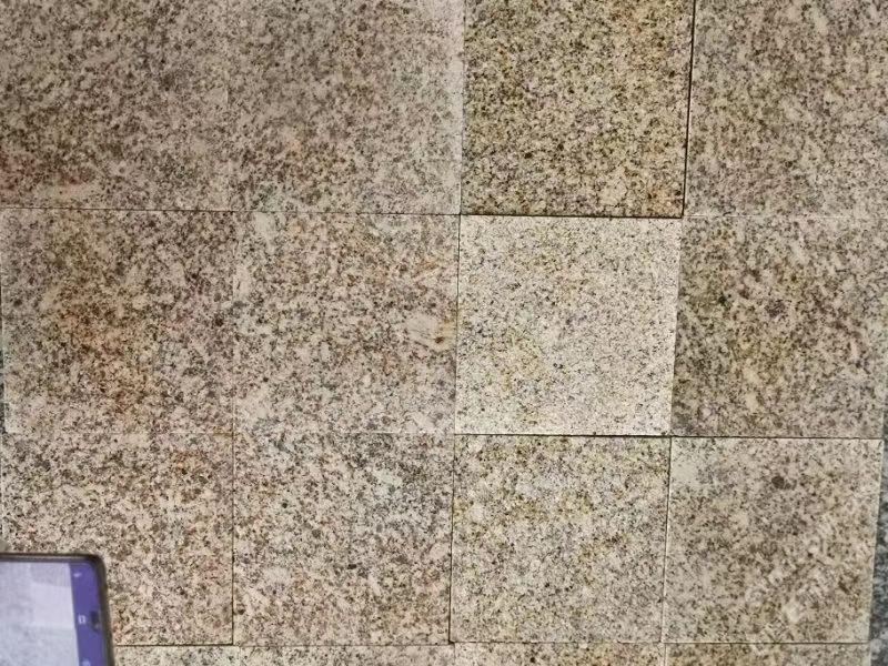 黃金麻圖片/黃金麻樣板圖 (1)