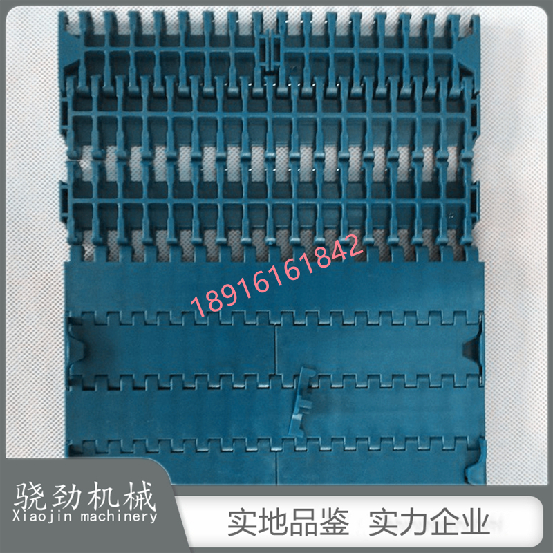 1000平板型網(wǎng)帶圖片/1000平板型網(wǎng)帶樣板圖 (1)