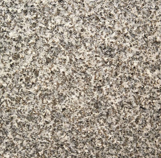 芝麻灰圖片/芝麻灰樣板圖 (1)