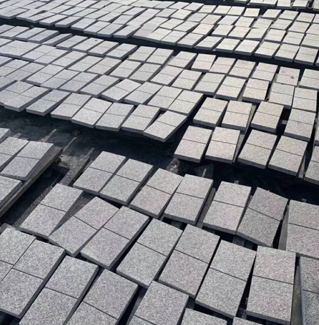 芝麻黑圖片/芝麻黑樣板圖 (1)