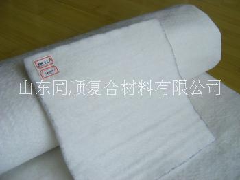 燒毛土工布圖片/燒毛土工布樣板圖 (4)