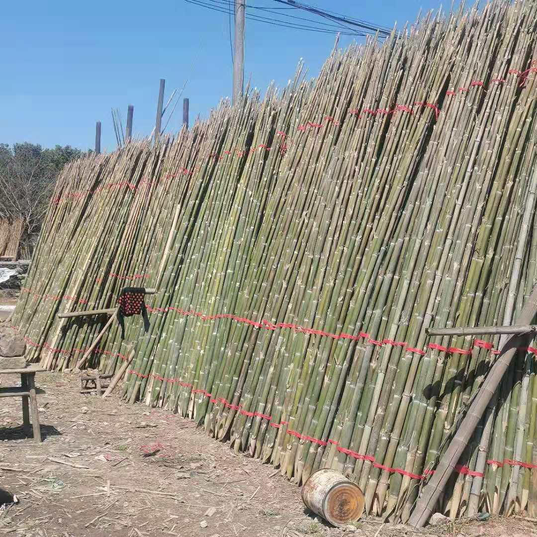 拱棚用竹竿 ， 溫室搭棚竹竿， 竹桿 ，竹竿廠家， 樹木支撐桿供應(yīng)