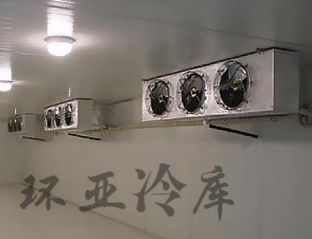 醫(yī)藥冷庫圖片/醫(yī)藥冷庫樣板圖 (1)