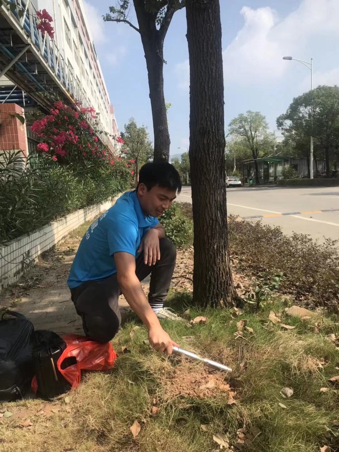 佛山老鼠防治 老鼠防治价钱