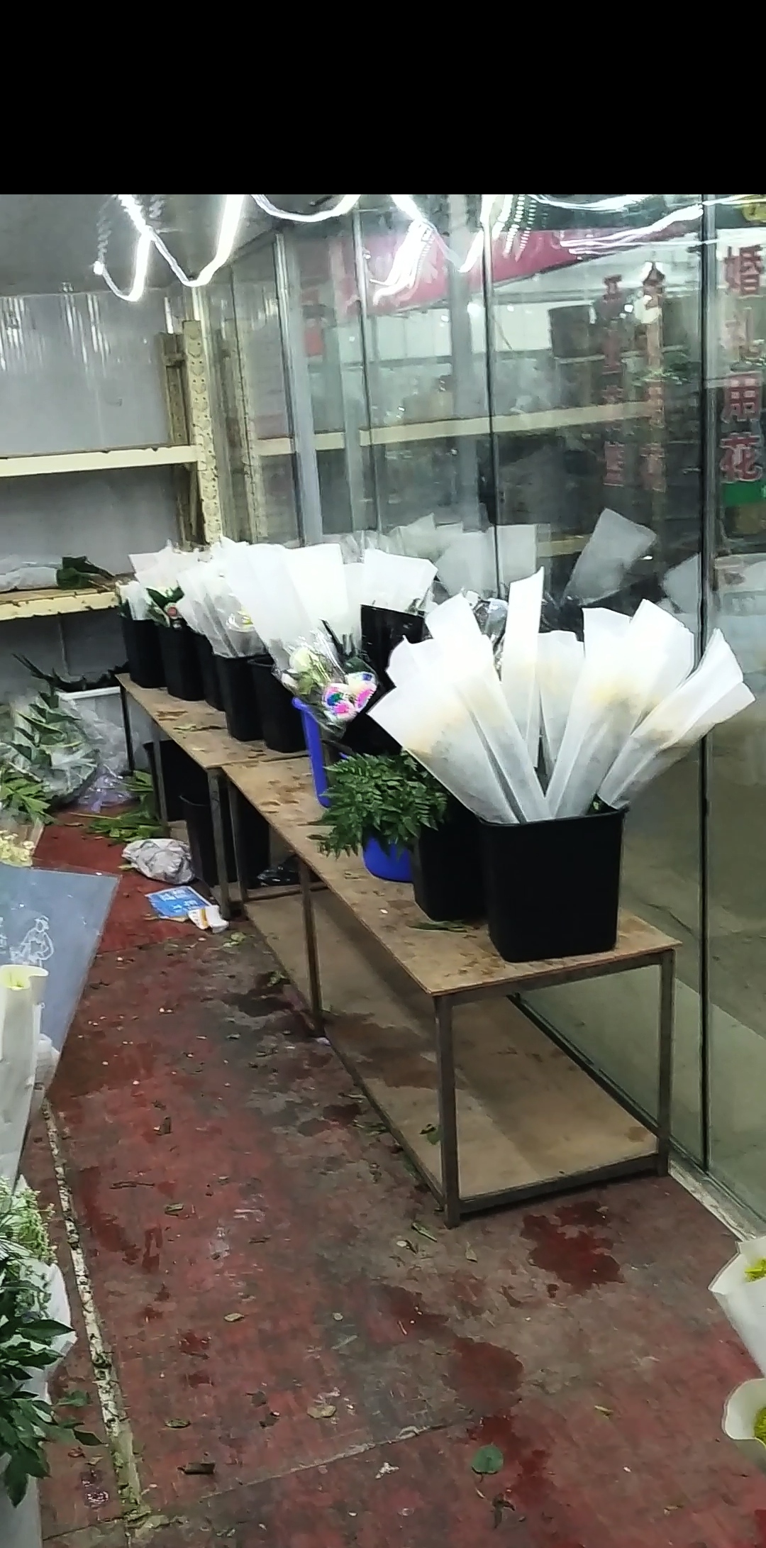 鮮花冷庫圖片/鮮花冷庫樣板圖 (2)