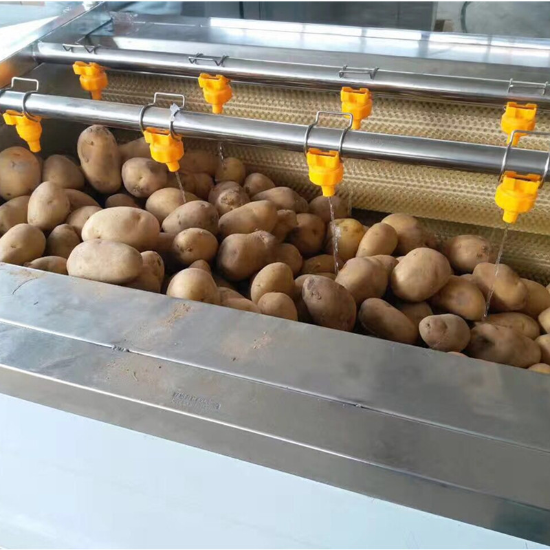 根莖類(lèi)毛刷去皮清洗機(jī)毛豆清洗機(jī)圖片/根莖類(lèi)毛刷去皮清洗機(jī)毛豆清洗機(jī)樣板圖 (2)