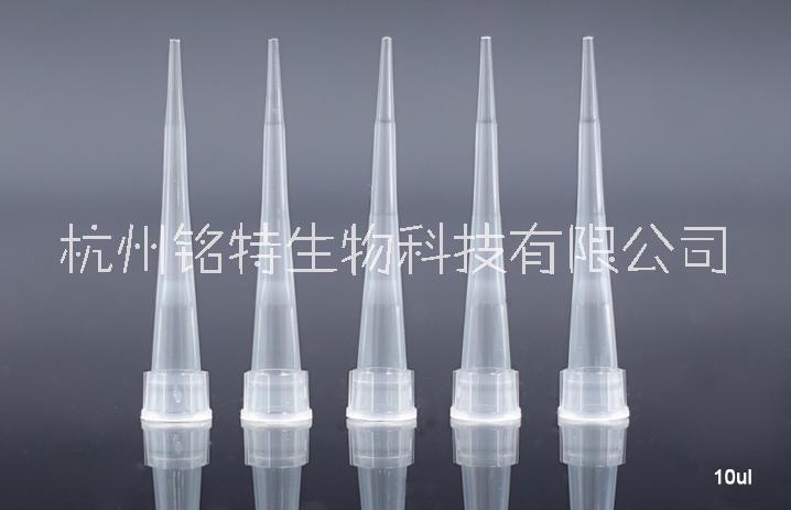 NEST移液器吸頭圖片/NEST移液器吸頭樣板圖 (2)