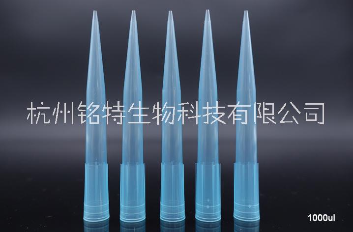 NEST移液器吸頭圖片/NEST移液器吸頭樣板圖 (4)