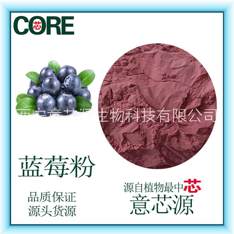 藍莓粉果蔬粉現貨 藍莓粉果粉現貨廠家