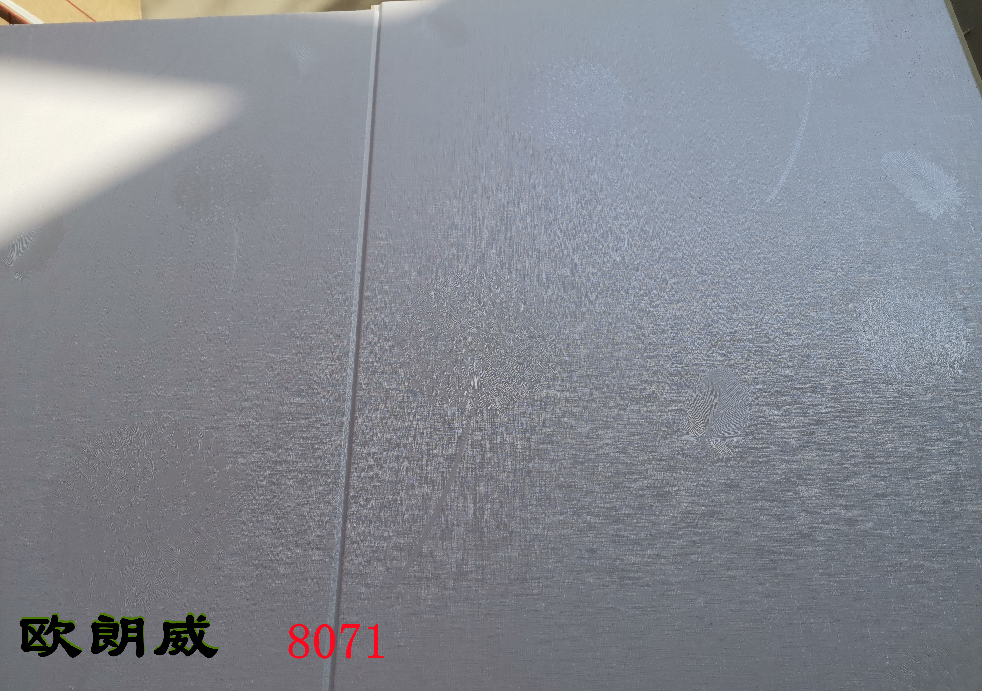 8071圖片/8071樣板圖 (2)
