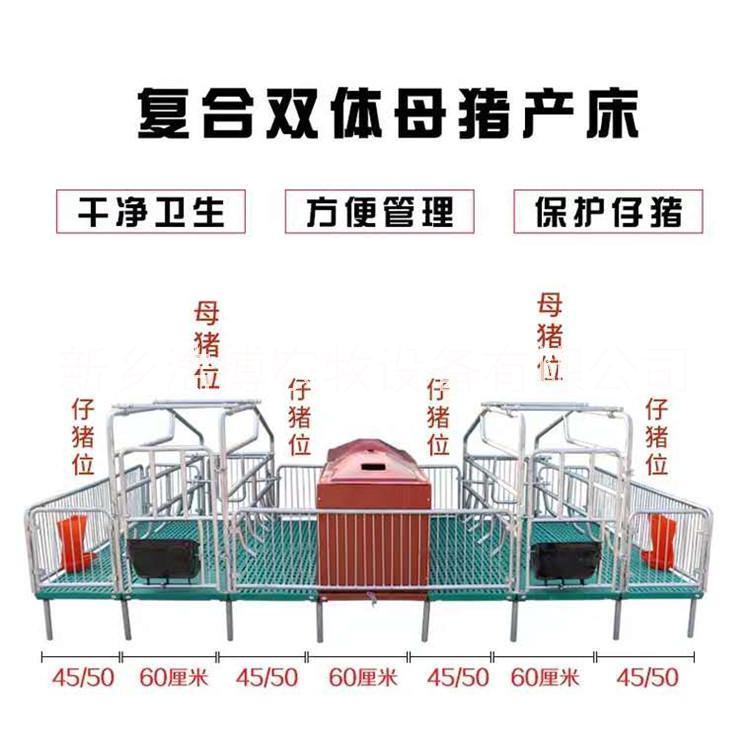產(chǎn)床產(chǎn)保一體豬用產(chǎn)床母豬雙體產(chǎn)床圖片
