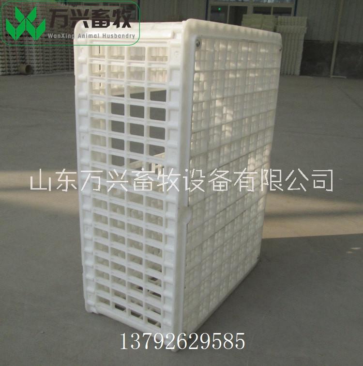 塑料雞籠圖片/塑料雞籠樣板圖 (2)