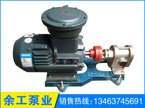 不銹鋼2CY高壓齒輪泵廠家  不銹鋼2CY高壓齒輪泵報(bào)價(jià)