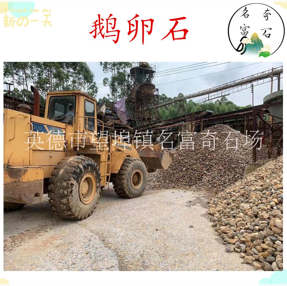 廣州鵝卵石價格圖片/廣州鵝卵石價格樣板圖 (3)